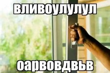 IMG_0799.jpeg