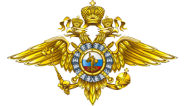 MVD-Russia96583f02d383db22.png