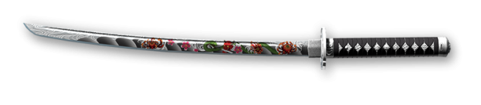 00012118-5F63-4724-B9CD-EA3021DAA5FD.png