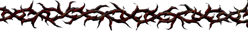 1000029788.png