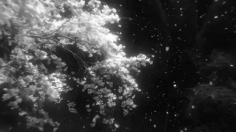 6860f7f528df00de4724f82e78d0d96f (4).gif