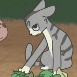 jayfeather-warrior-cats.gif