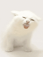 0e05273797afd4efabff569d82842c06.gif