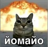 1000002734.jpg