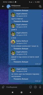 Screenshot_2025-09-03-23-16-28-887_com.vkontakte.android.jpg