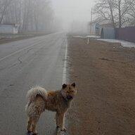Alexander_Topolev