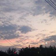 Dima_Dollarov