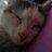 Danil_Lorbdbroge