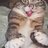 Artem_Tatarin