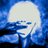 Tima_Wezaxse