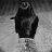 Vanu_Filimonov.