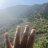 Wortex_terounder